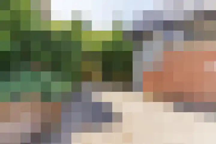 Bakhuis 25 Oud-Beijerland thumbnail 34