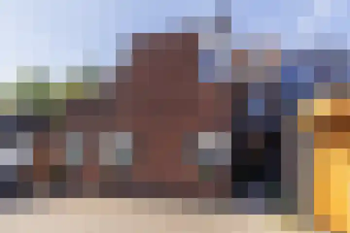 Bakhuis 25 Oud-Beijerland thumbnail 36