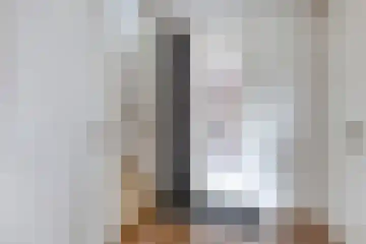 Bakhuis 28 Oud-Beijerland thumbnail 10