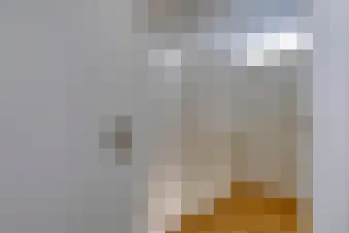 Bakhuis 28 Oud-Beijerland thumbnail 11
