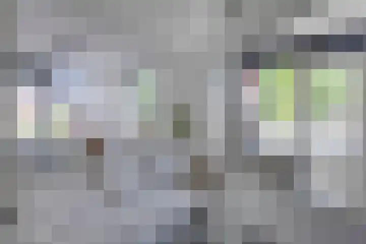 Bakhuis 28 Oud-Beijerland thumbnail 12