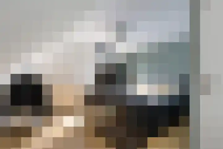 Bakhuis 28 Oud-Beijerland thumbnail 19