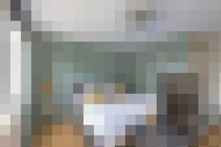 Bakhuis 28 Oud-Beijerland thumbnail 20