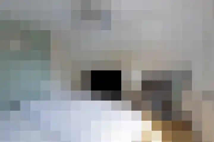 Bakhuis 28 Oud-Beijerland thumbnail 21