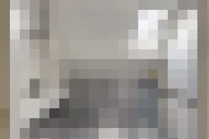 Bakhuis 28 Oud-Beijerland thumbnail 23