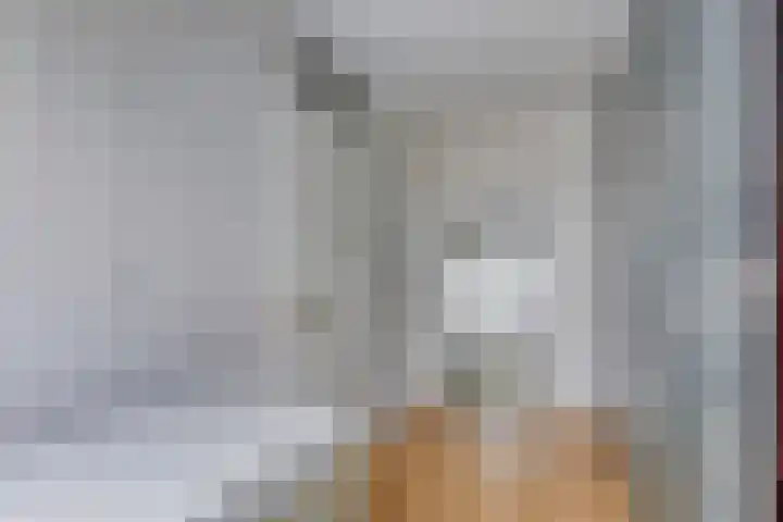 Bakhuis 28 Oud-Beijerland thumbnail 28