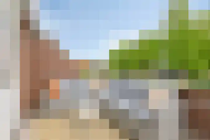 Bakhuis 28 Oud-Beijerland thumbnail 31