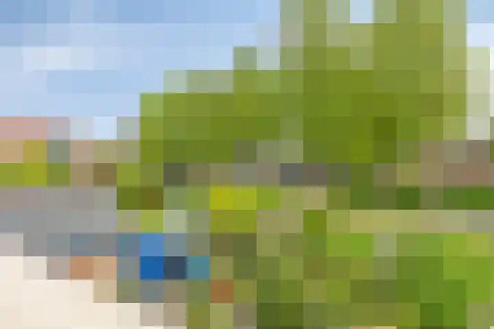 Bakhuis 28 Oud-Beijerland thumbnail 33