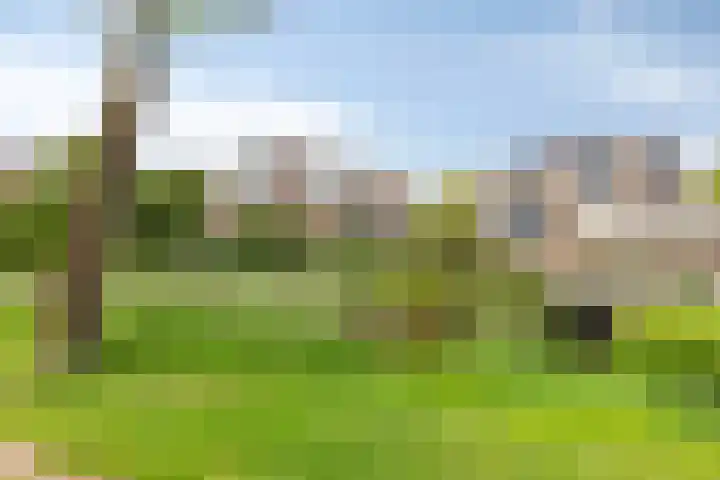 Bakhuis 28 Oud-Beijerland thumbnail 4