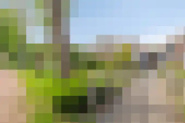 Bakhuis 28 Oud-Beijerland thumbnail 5