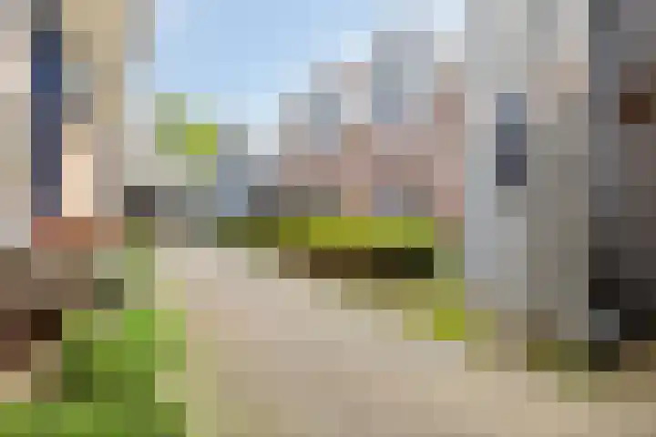 Bakhuis 28 Oud-Beijerland thumbnail 6