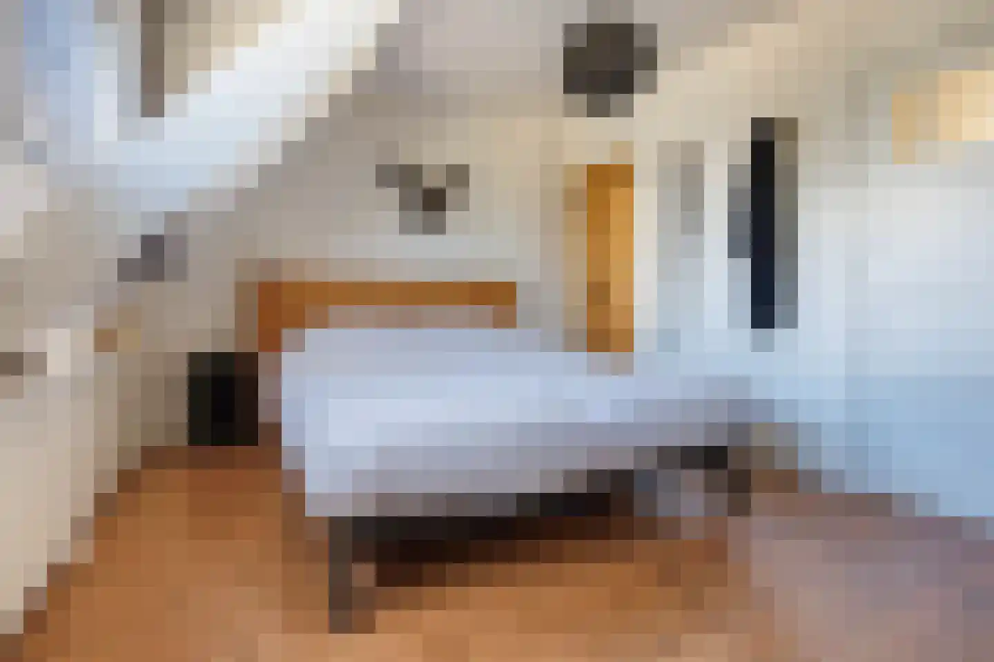 Bakhuis Roozenboomstraat 3 Leiden thumbnail 21