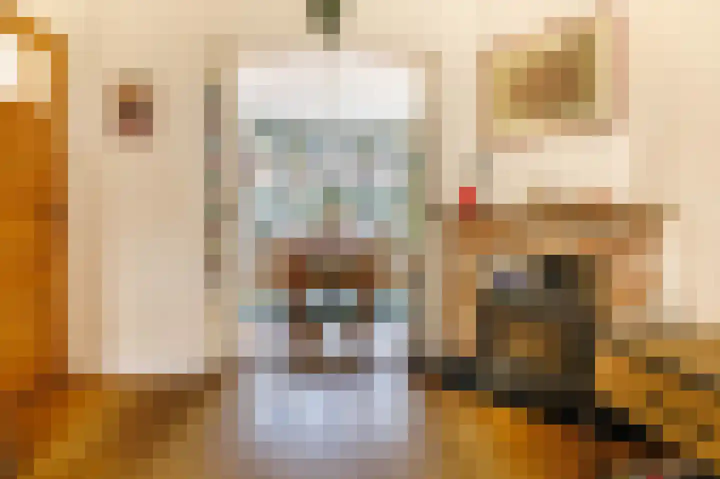 Bakhuis Roozenboomstraat 3 Leiden thumbnail 5