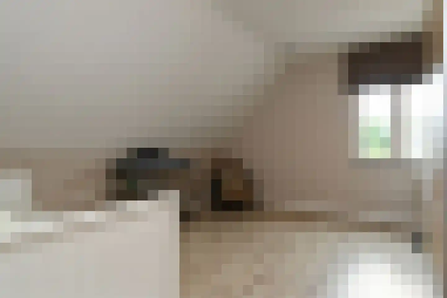 Bakhuisweg 3 a Posterholt thumbnail 32