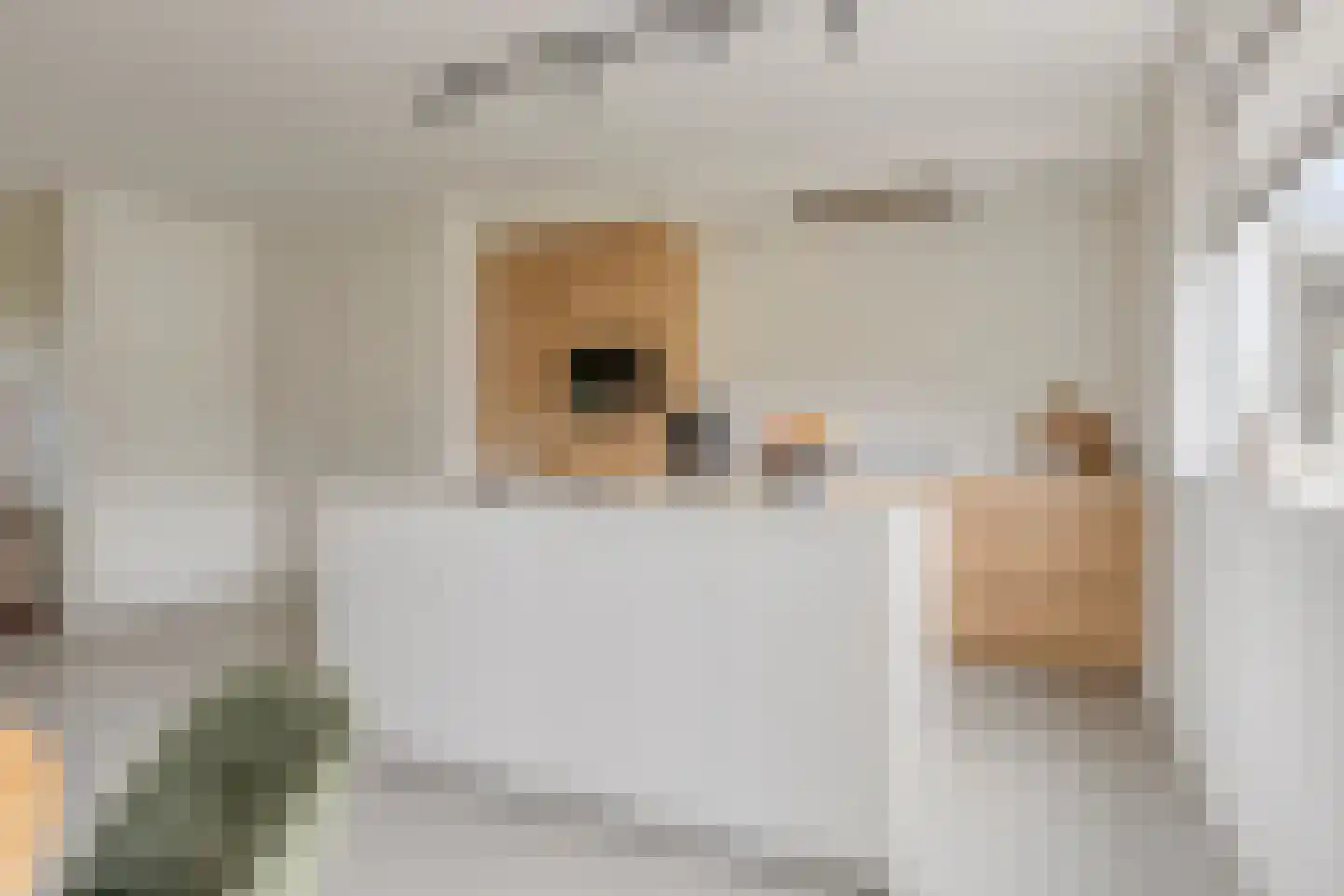 Bakhuisweg 6 a Mill thumbnail 10