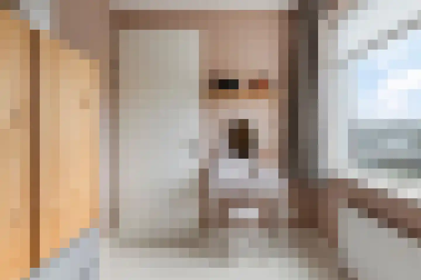 Bakhuisweg 6 a Mill thumbnail 23