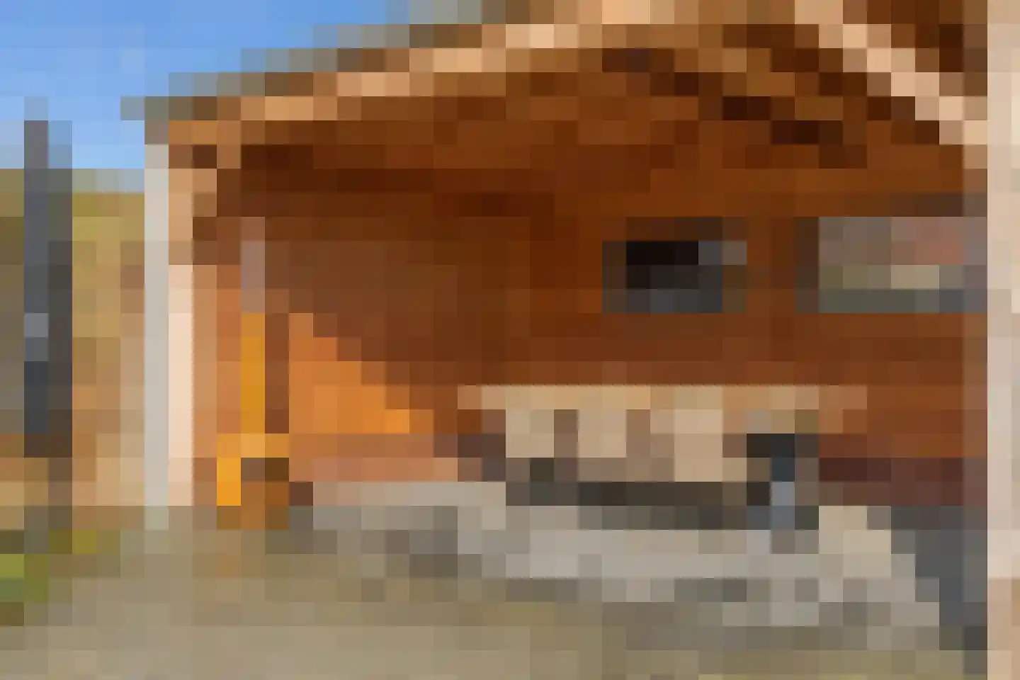Bakhuisweg 6 a Mill thumbnail 36