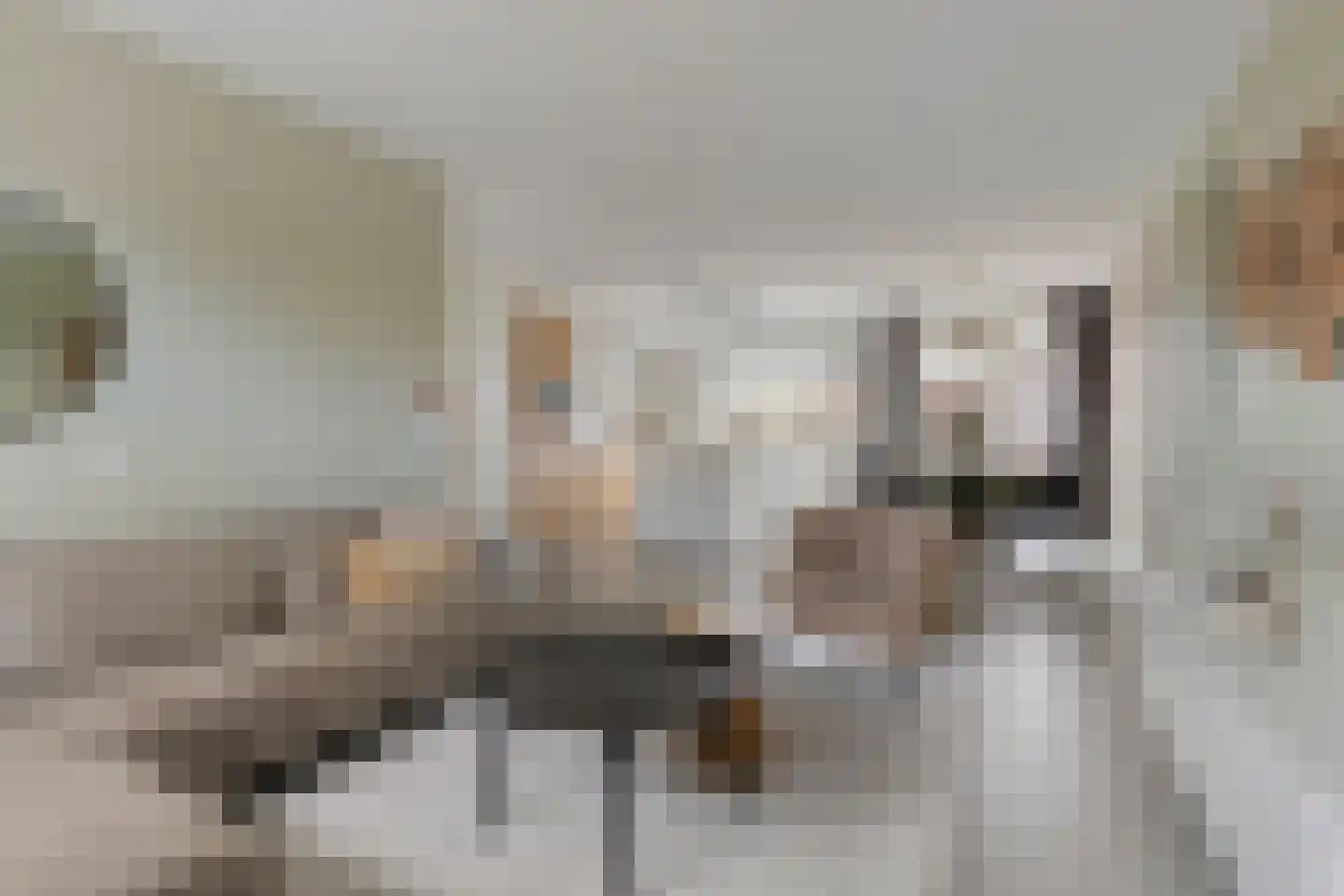 Bakhuisweg 6 a Mill thumbnail 5