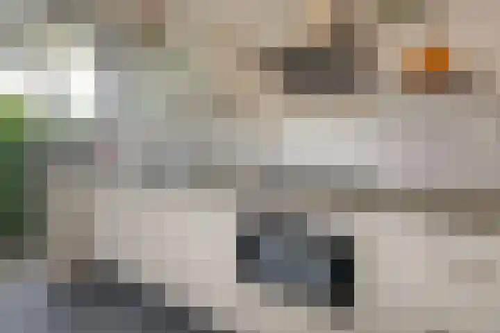 Bakhuizen van den Brinkhof 61 Amsterdam thumbnail 17