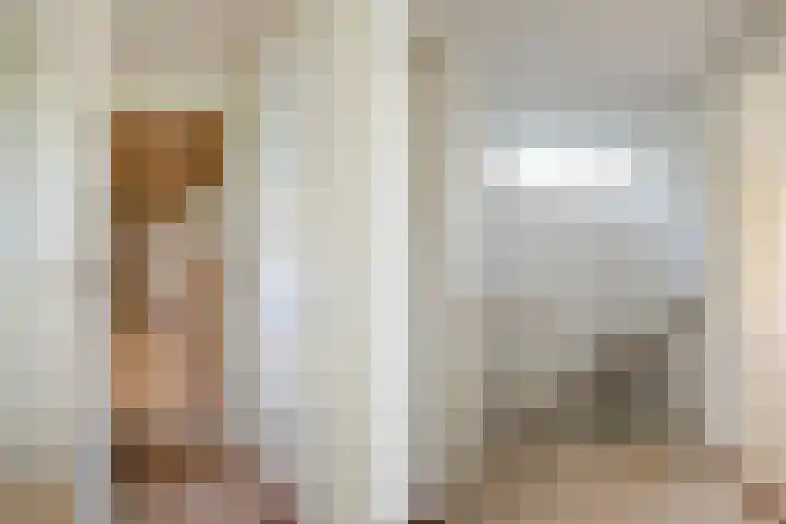 Bakhuizen van den Brinkhof 80 Amsterdam thumbnail 30