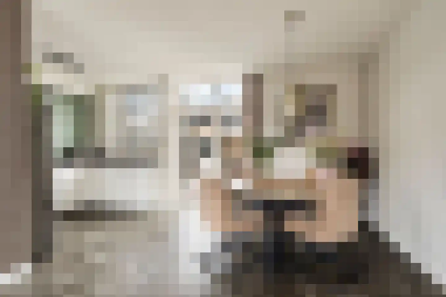 Bakhuizen van den Brinklaan 10 Eindhoven thumbnail 10