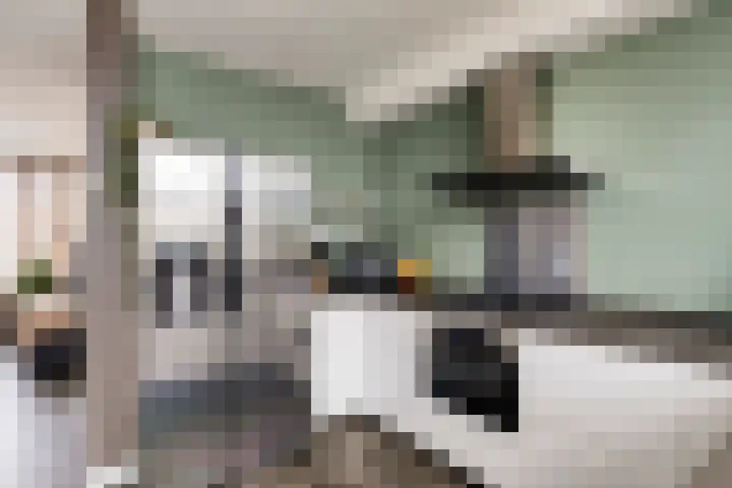Bakhuizen van den Brinklaan 10 Eindhoven thumbnail 16