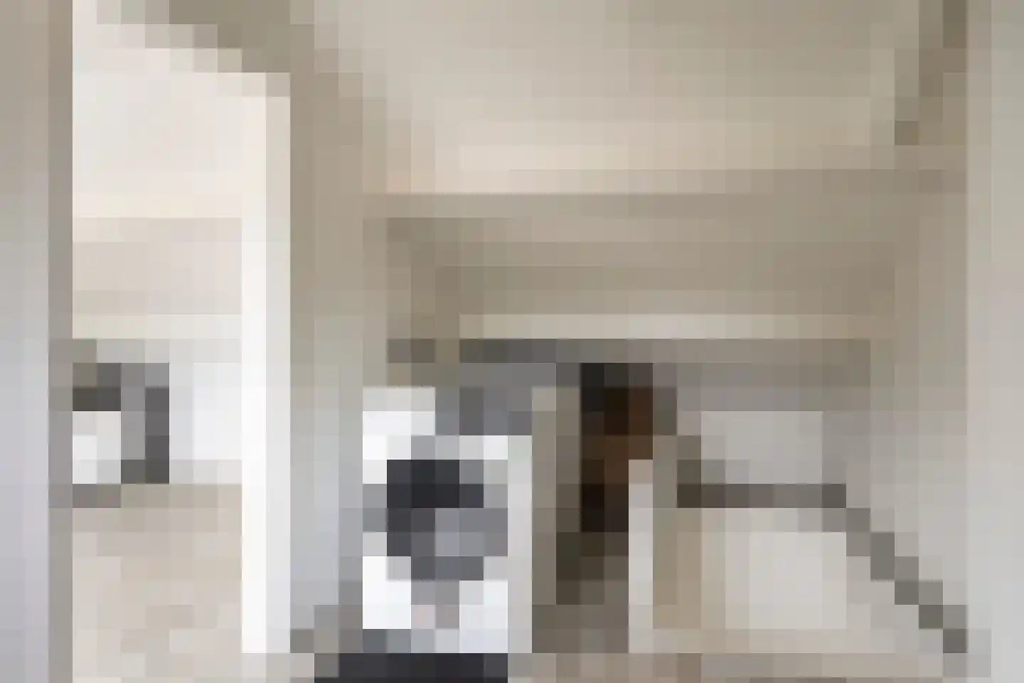 Bakhuizen van den Brinklaan 10 Eindhoven thumbnail 28