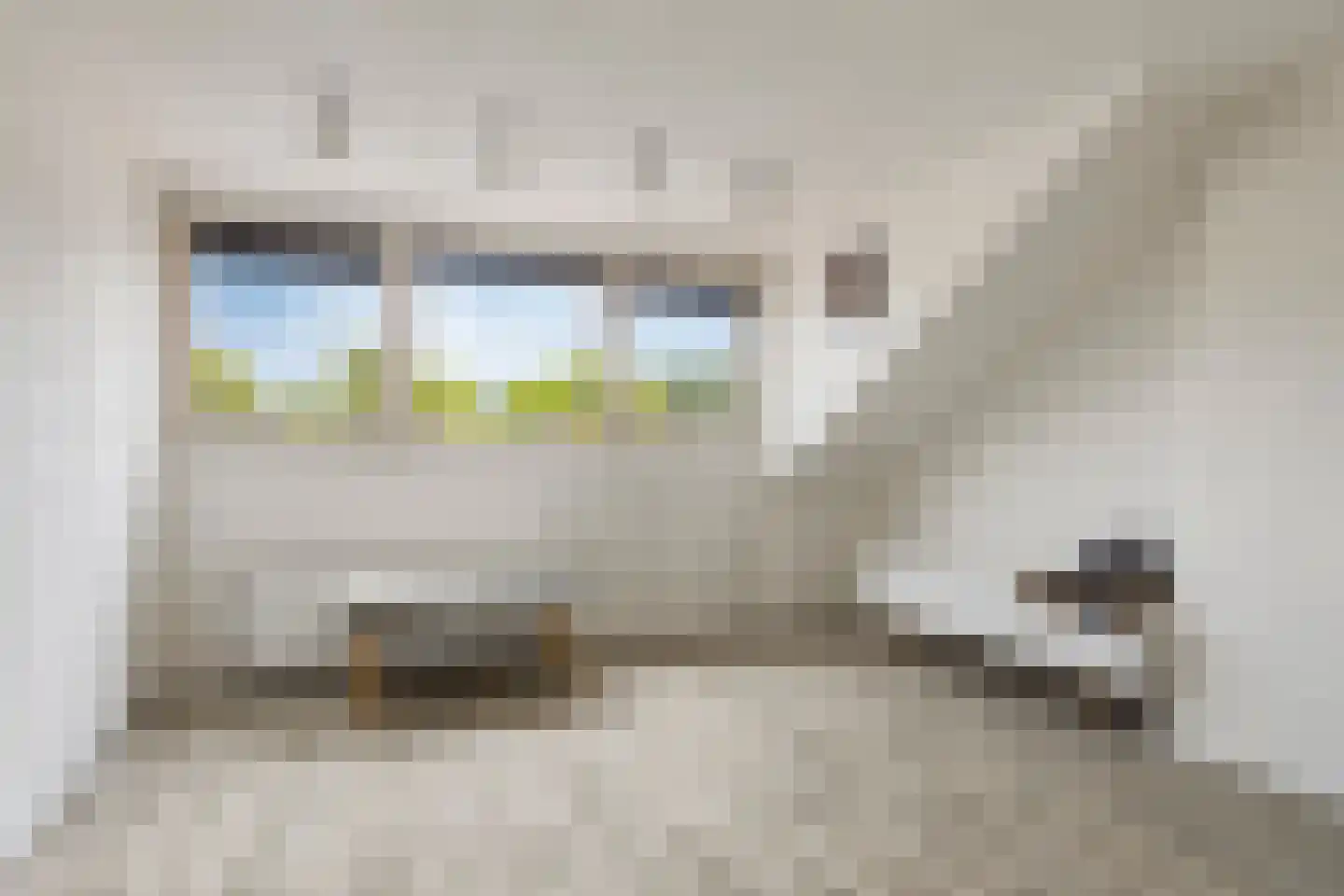 Bakhuizen van den Brinklaan 10 Eindhoven thumbnail 30