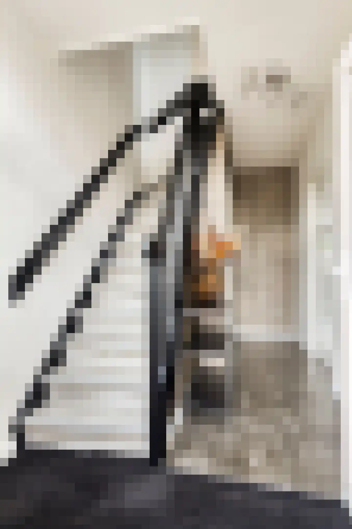Bakhuizen van den Brinklaan 10 Eindhoven thumbnail 6