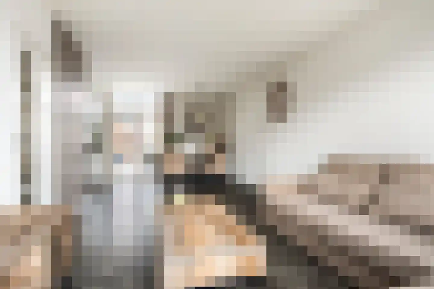 Bakhuizen van den Brinklaan 10 Eindhoven thumbnail 9