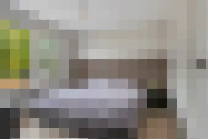 Bakhuizen van den Brinklaan 73 Eindhoven thumbnail 17