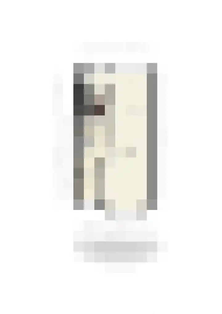 Bakhuizen van den Brinkstraat 16 Utrecht thumbnail 45