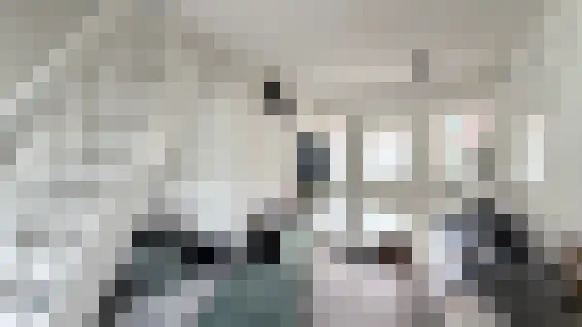 Bakhuizen van den Brinkstraat 18 A Utrecht thumbnail 4