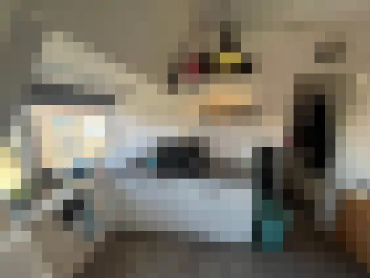 Bakhuizen van den Brinkstraat 18 G Utrecht thumbnail 5