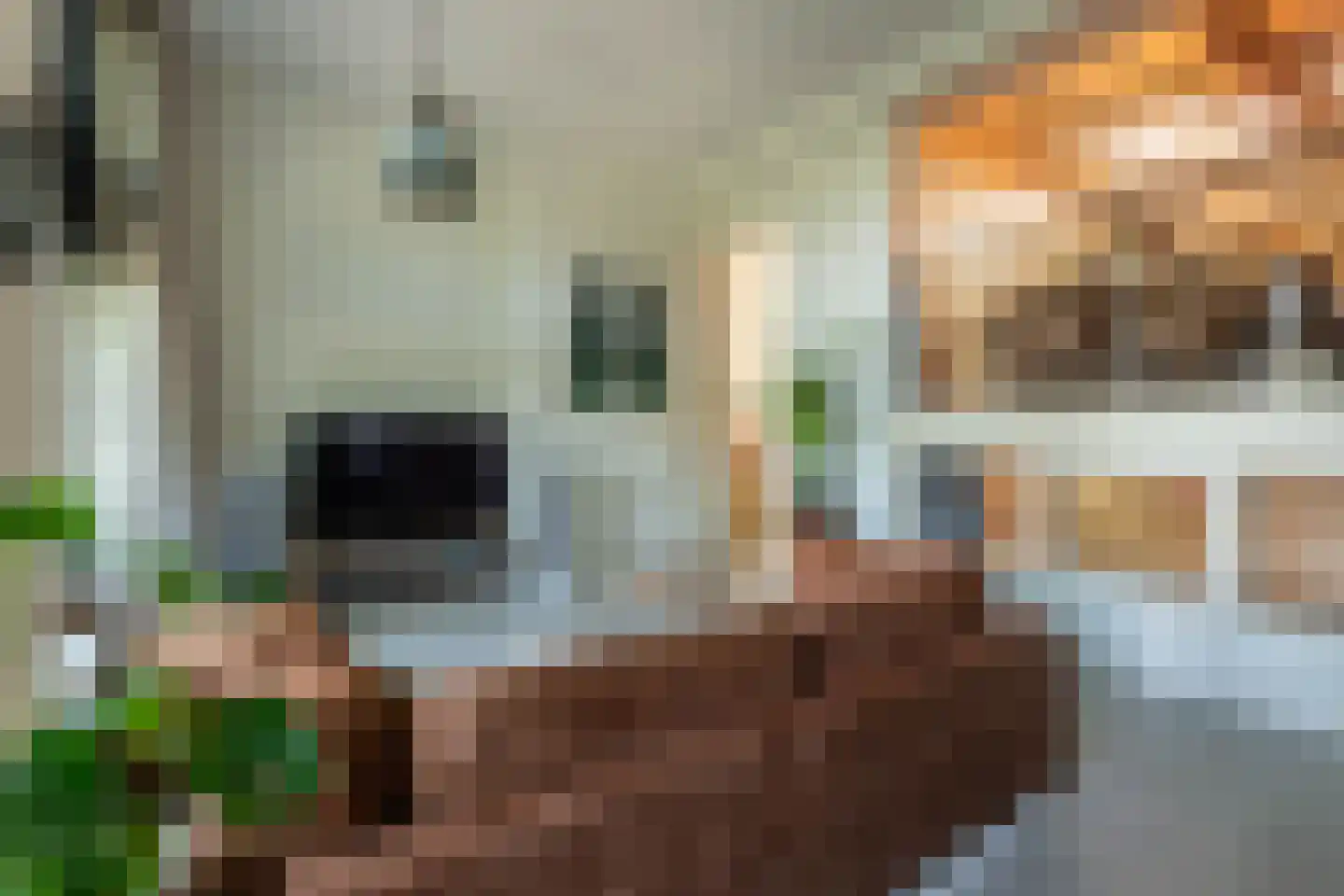 Bakhuizen van den Brinkstraat 2 A Haarlem thumbnail 14