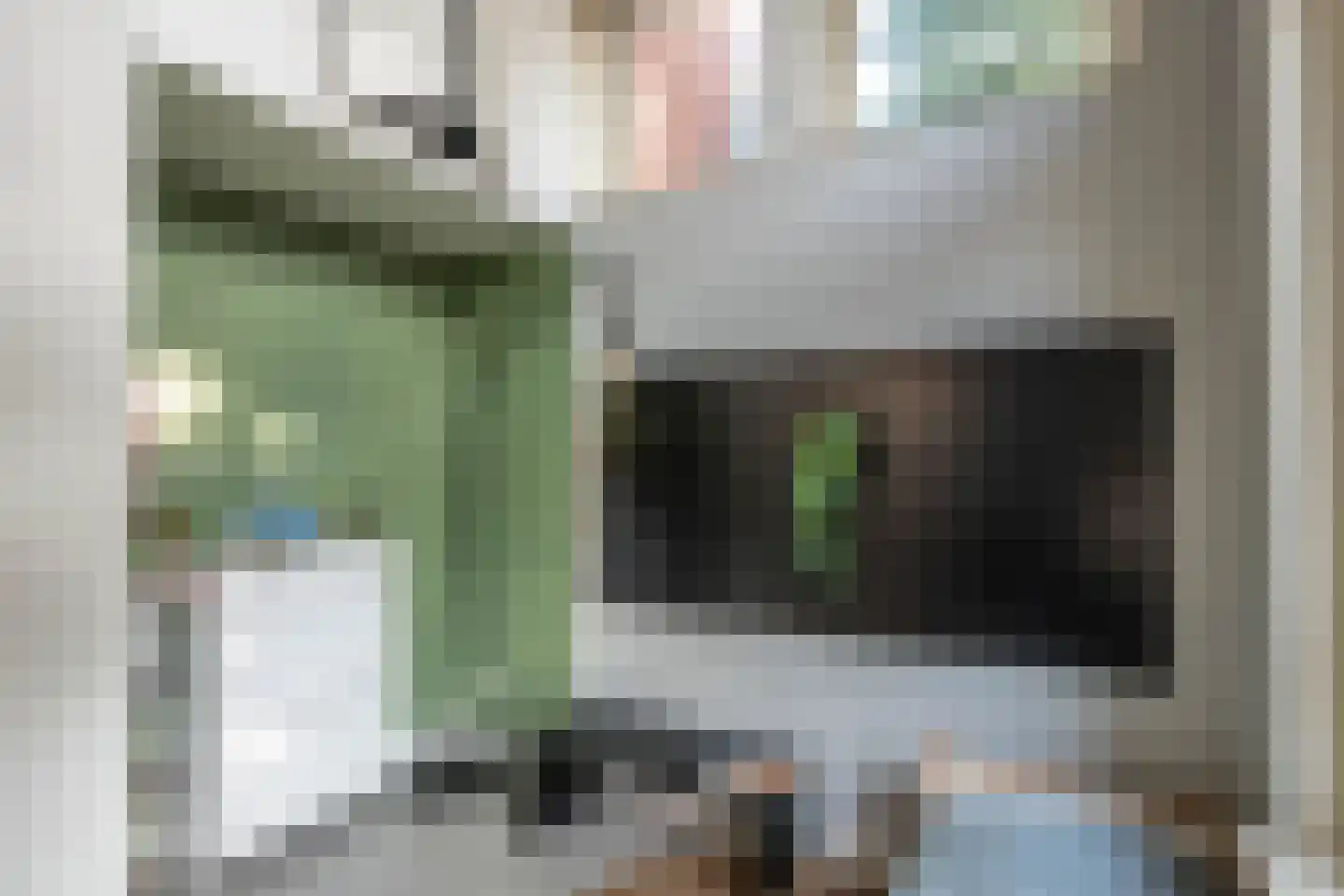 Bakhuizen van den Brinkstraat 2 A Haarlem thumbnail 22