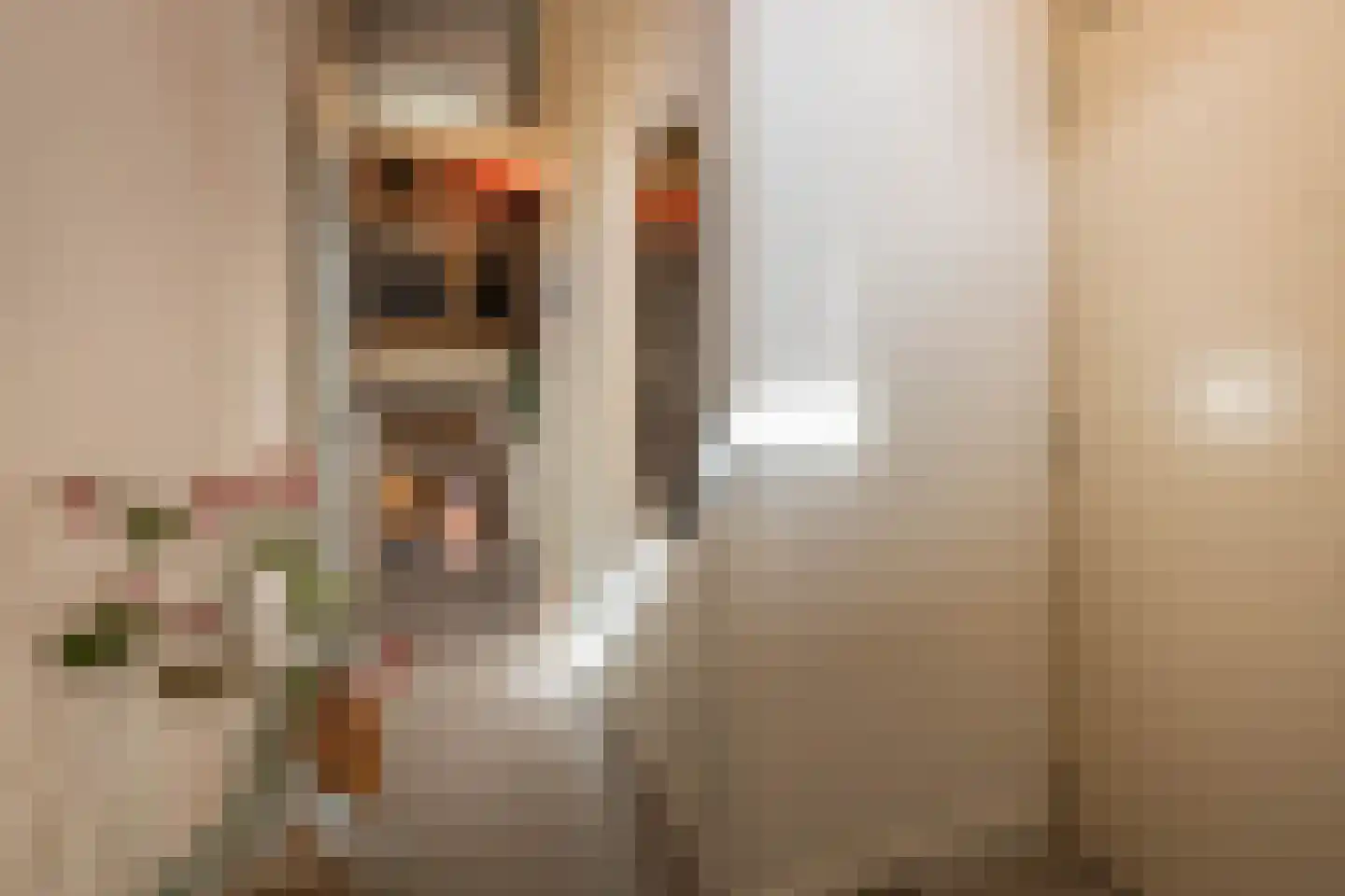 Bakhuizen van den Brinkstraat 2 A Haarlem thumbnail 33
