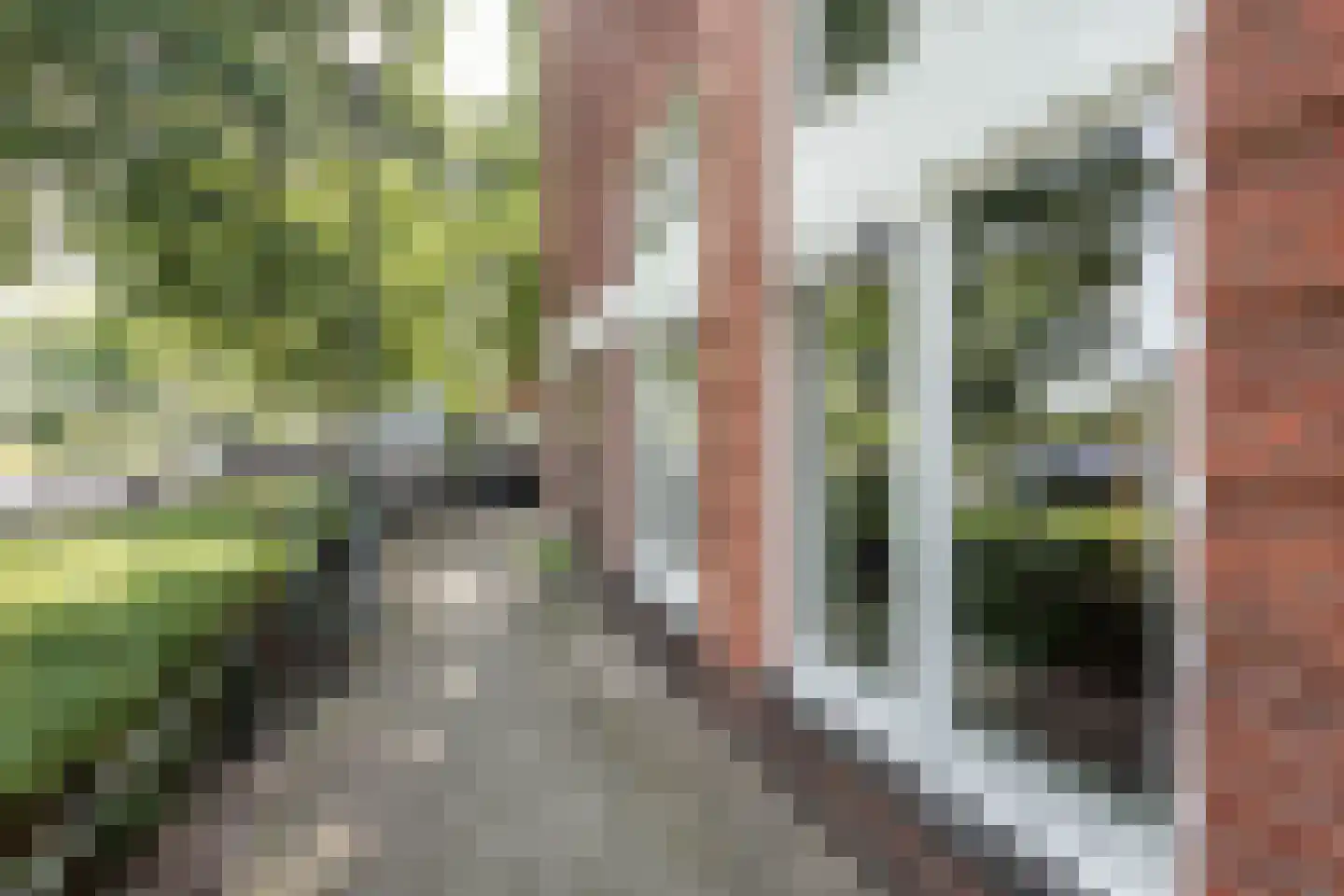 Bakhuizen van den Brinkstraat 2 A Haarlem thumbnail 5