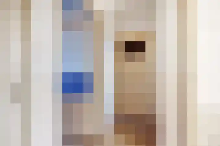 Bakhuizen van den Brinkstraat 3 BSA Utrecht thumbnail 4