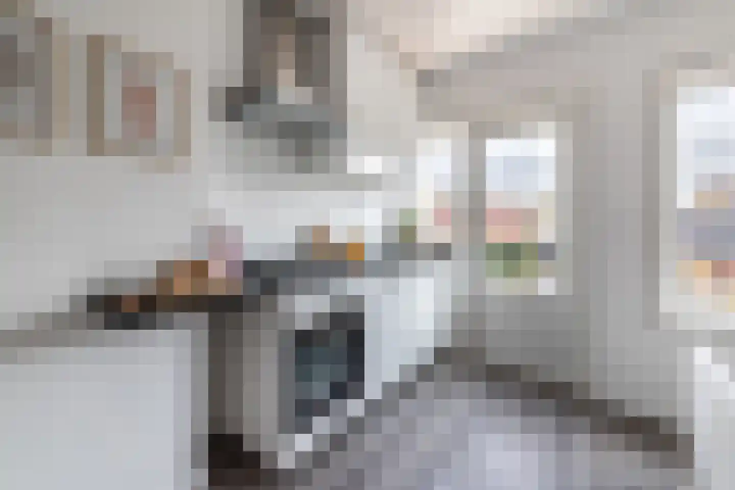 Bakhuizen van den Brinkstraat 3 Haarlem thumbnail 5
