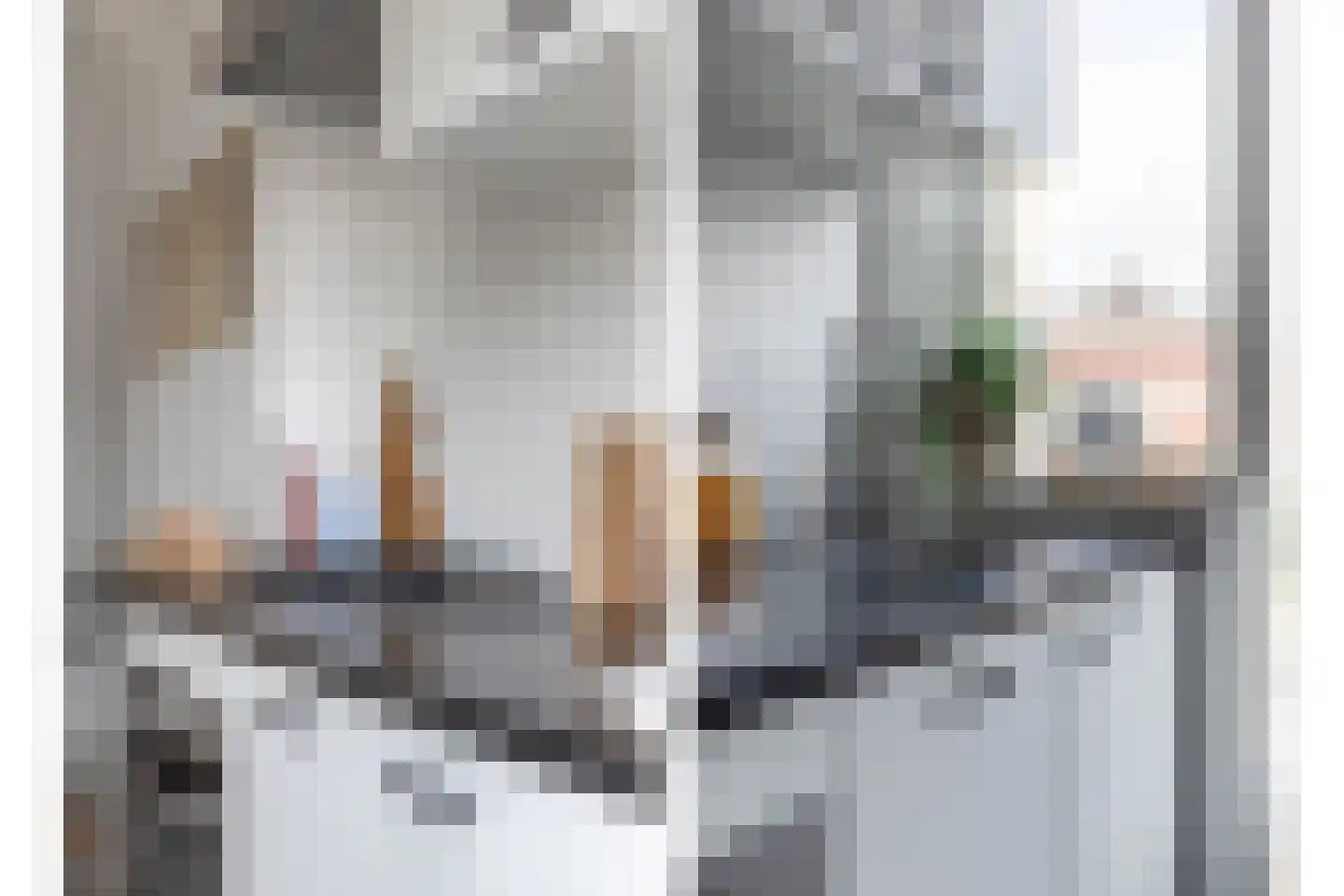 Bakhuizen van den Brinkstraat 3 Haarlem thumbnail 6