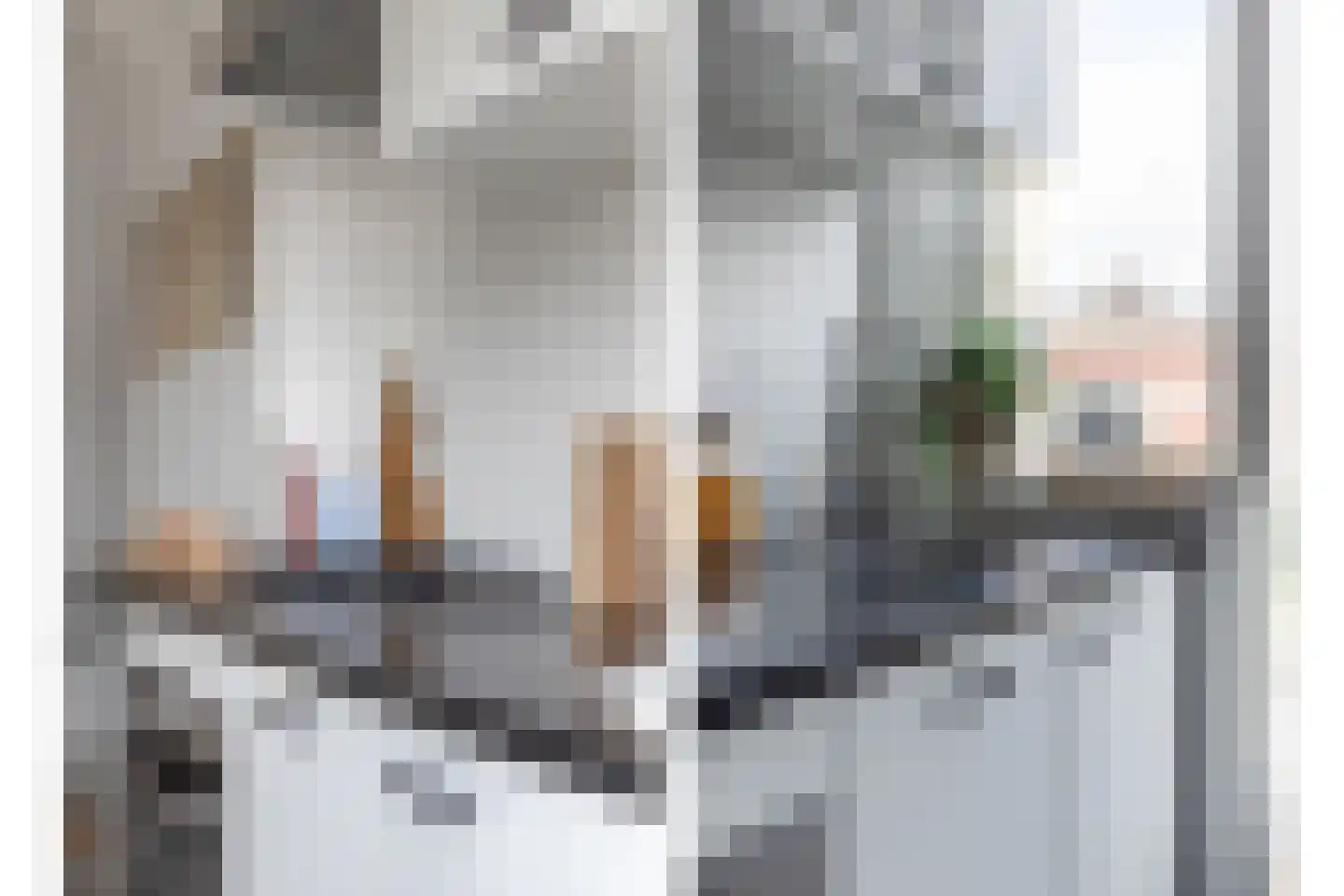 Bakhuizen van den Brinkstraat 3 Haarlem thumbnail 6
