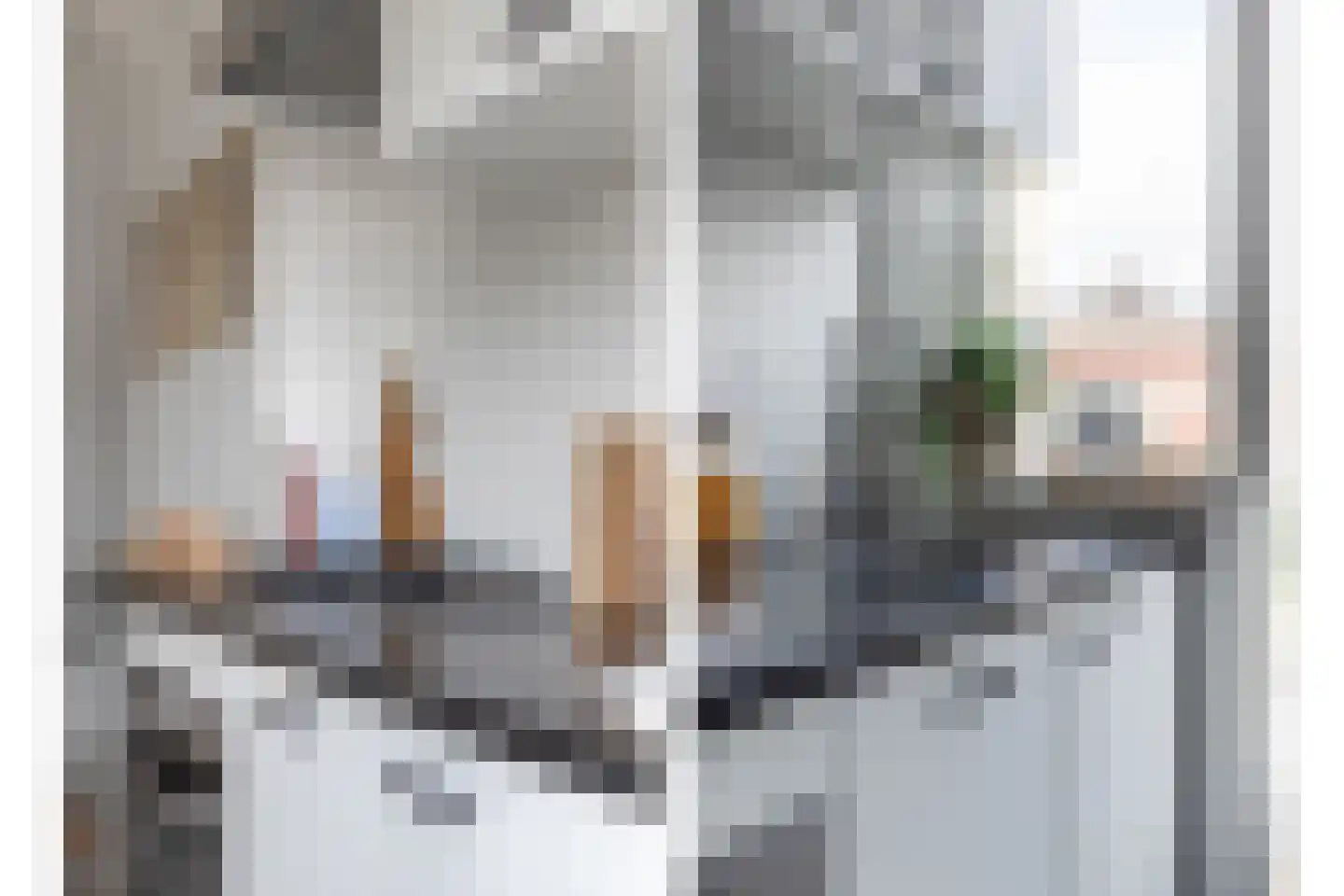 Bakhuizen van den Brinkstraat 3 Haarlem thumbnail 7