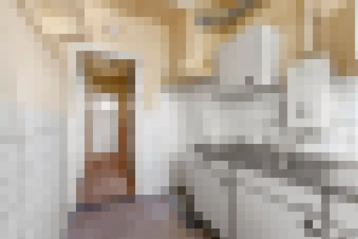 Bakhuizen van den Brinkstraat 57 BS Utrecht thumbnail 11