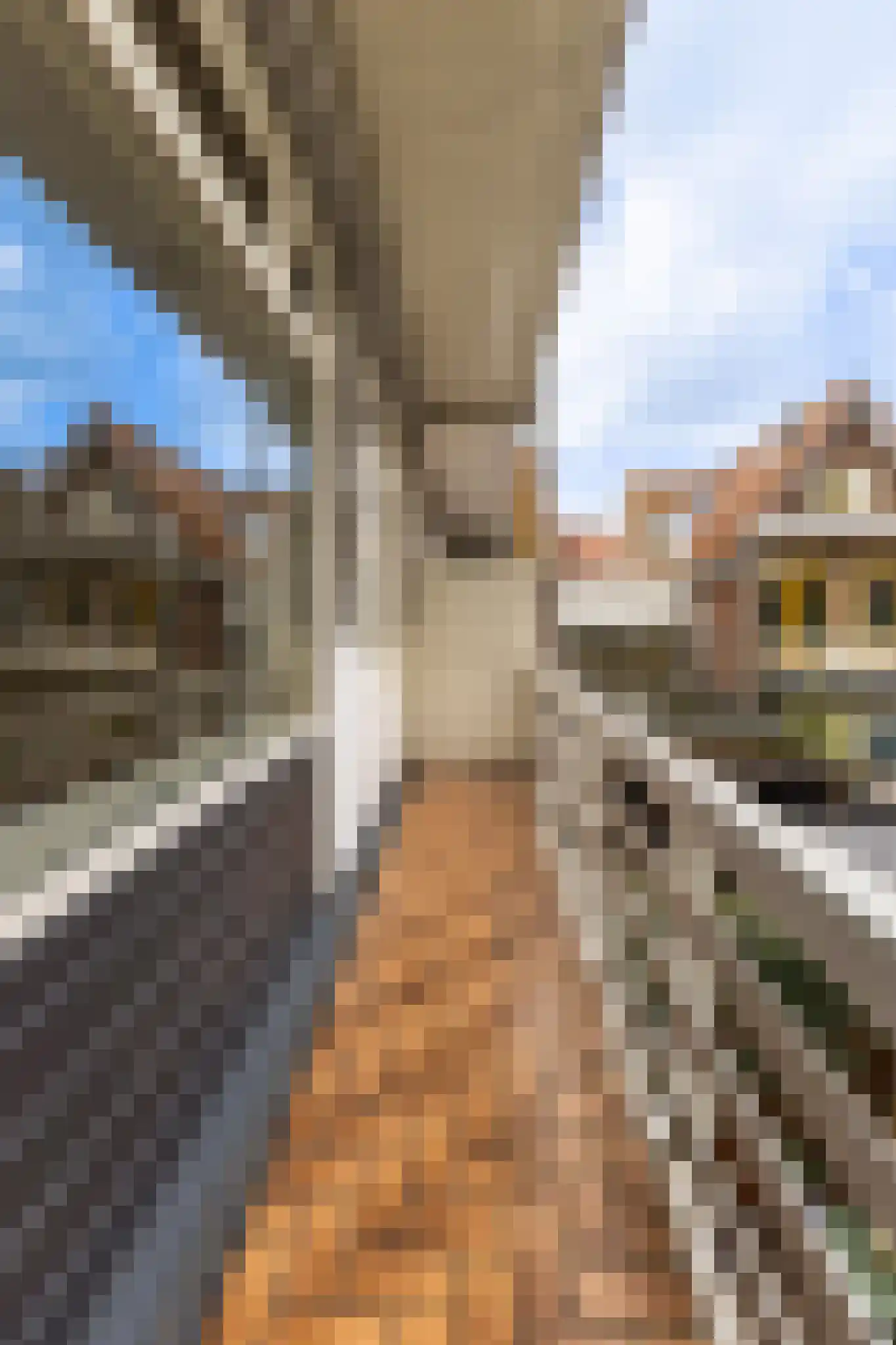 Bakhuizen van den Brinkstraat 6 Haarlem thumbnail 12
