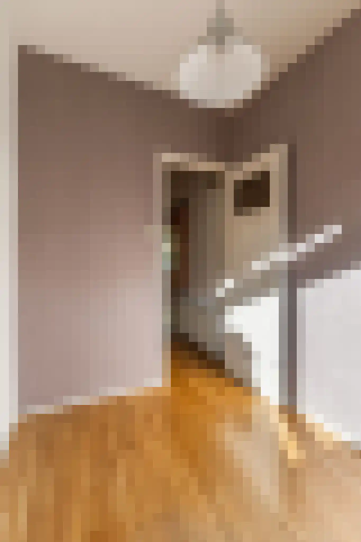 Bakhuizen van den Brinkstraat 6 Haarlem thumbnail 15