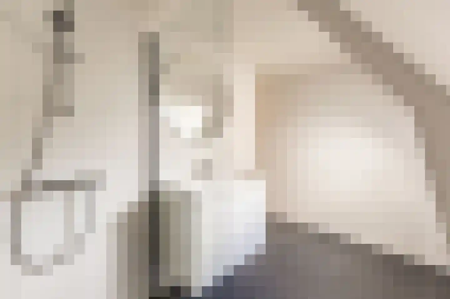 Bakhuizen van den Brinkstraat 6 Haarlem thumbnail 22