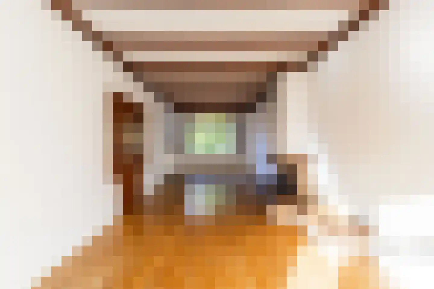 Bakhuizen van den Brinkstraat 6 Haarlem thumbnail 4