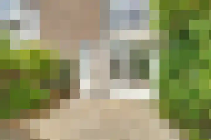 Bakhuizen van den Brinkstraat 6 Utrecht thumbnail 12