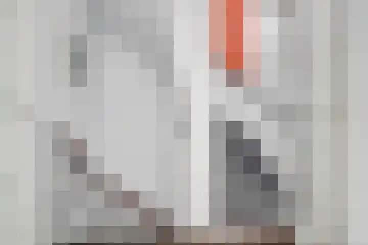 Bakhuizen van den Brinkstraat 6 Utrecht thumbnail 24